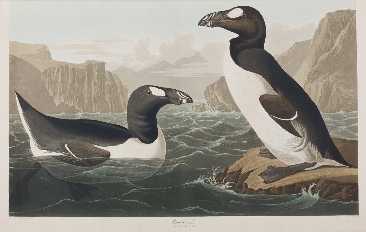 Illustration de 