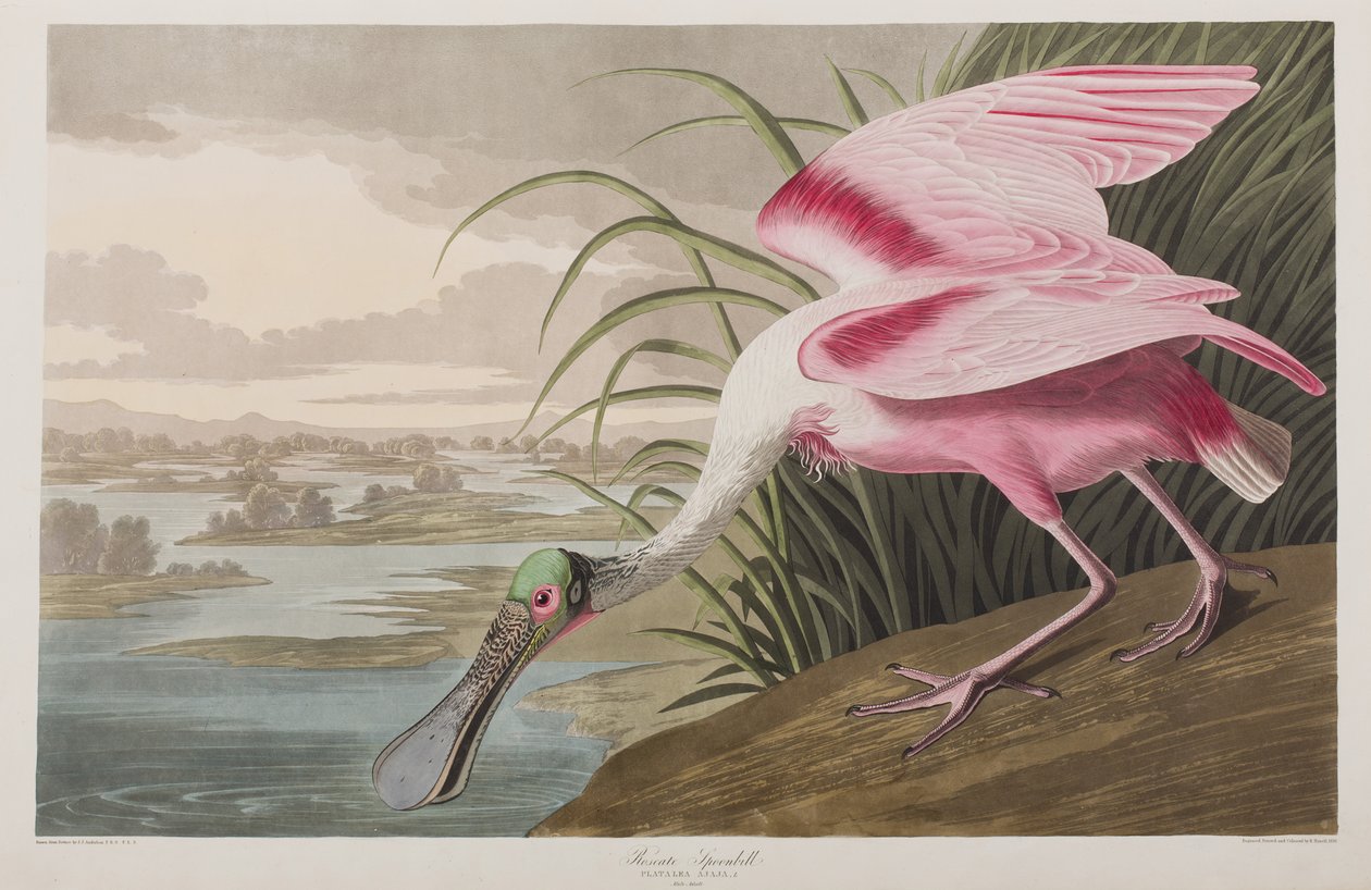 Illustration de 