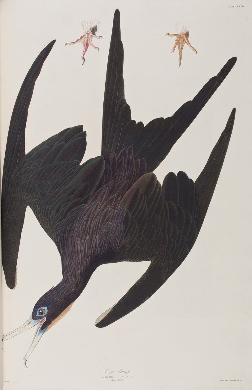Illustration de 