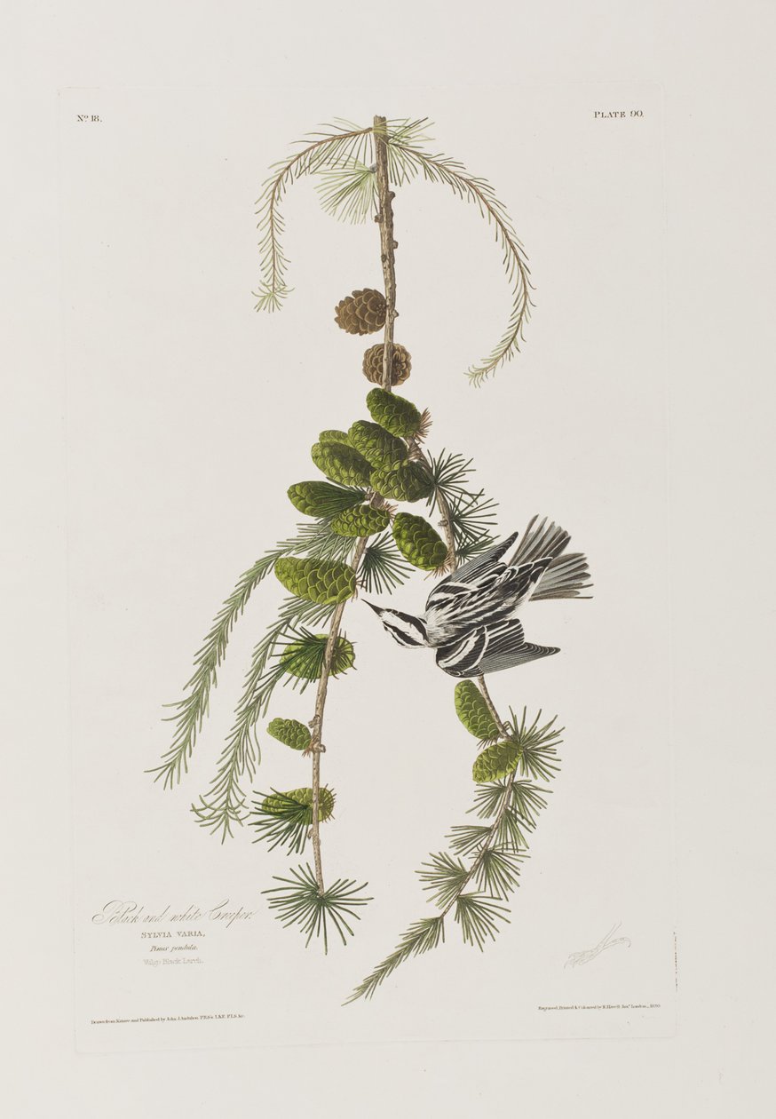 Illustration de 