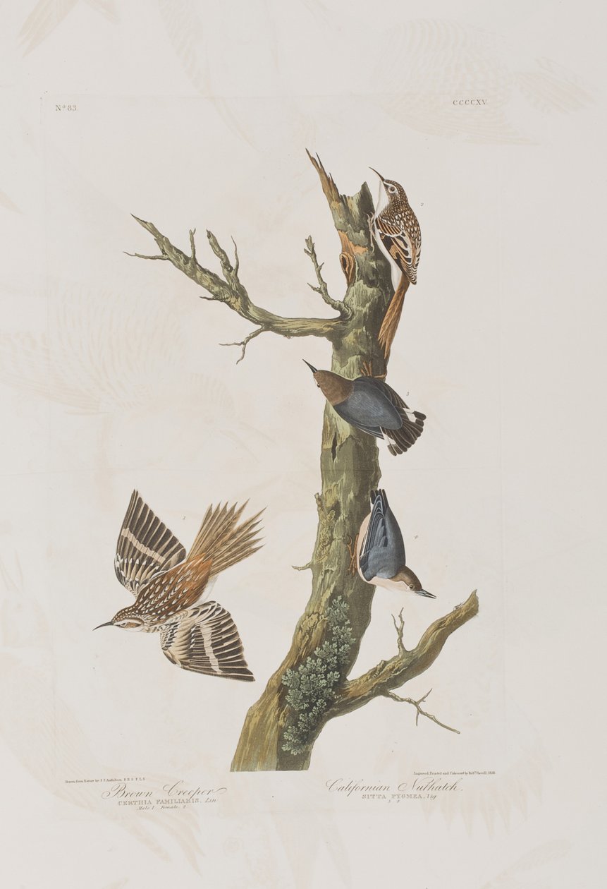 Illustration de 