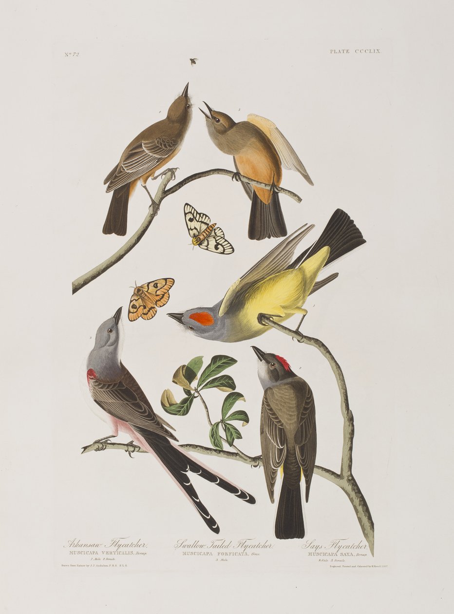 Illustration de 