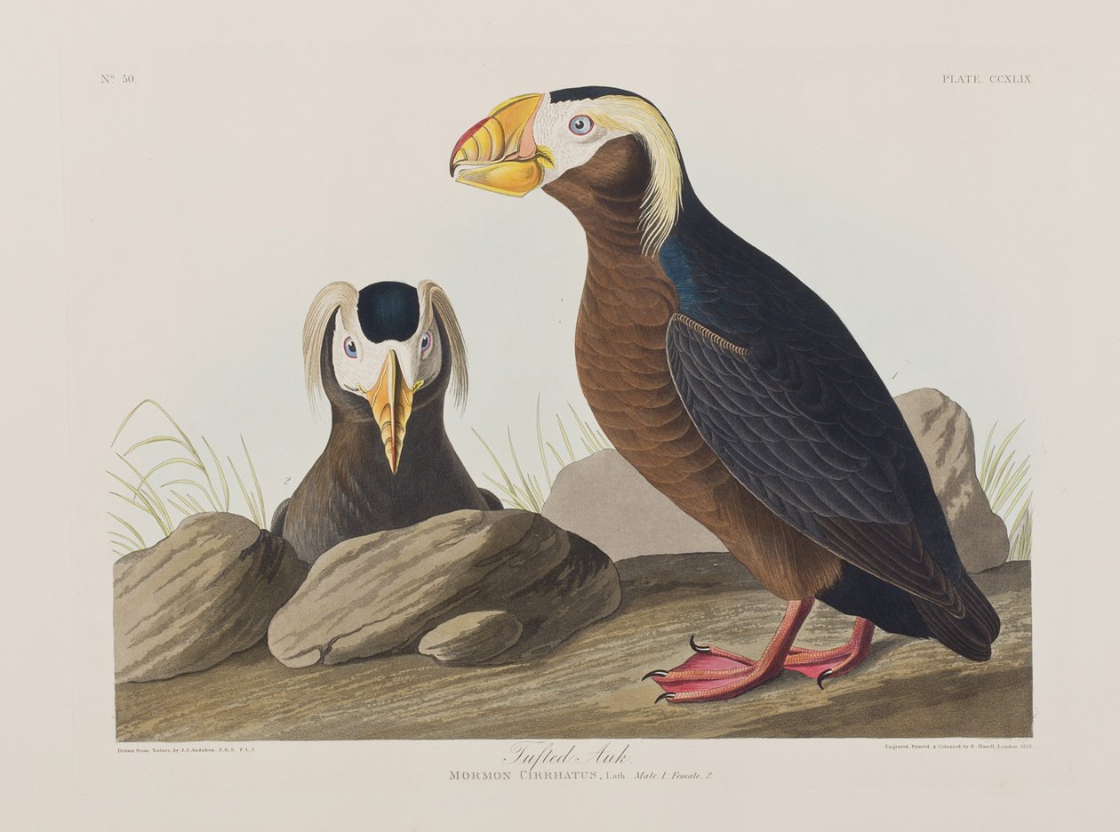 Illustration de 