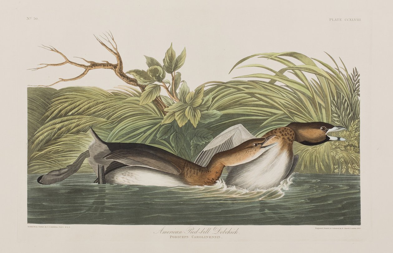 Illustration de 
