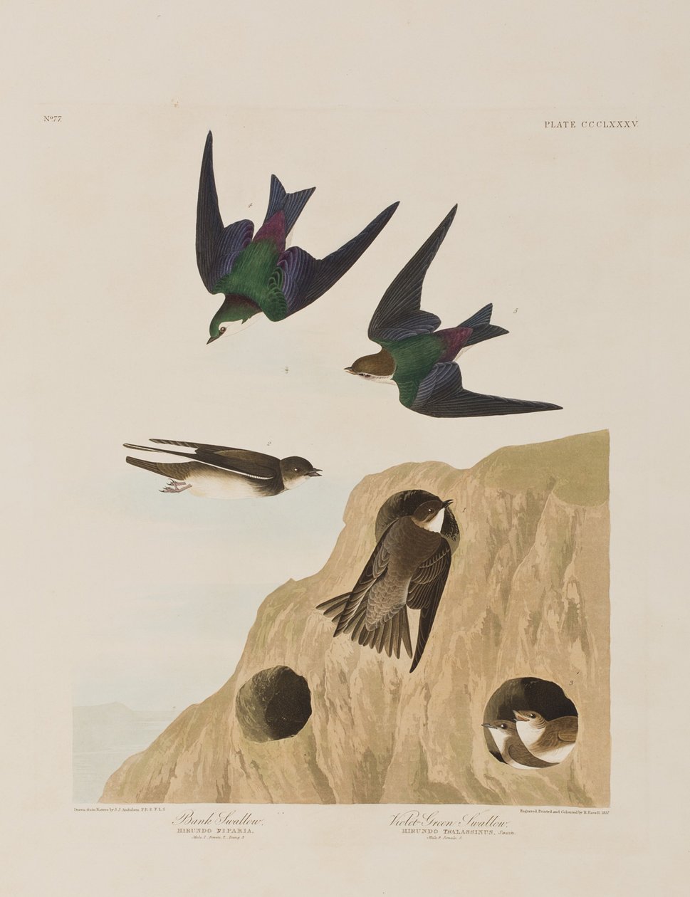 Illustration de 