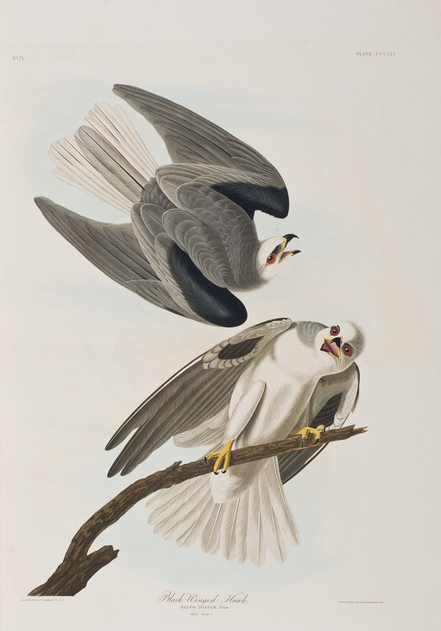 Illustration de 