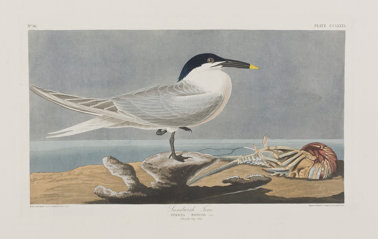 Illustration de 