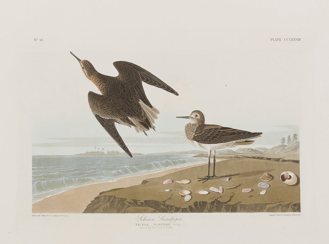 Illustration de 