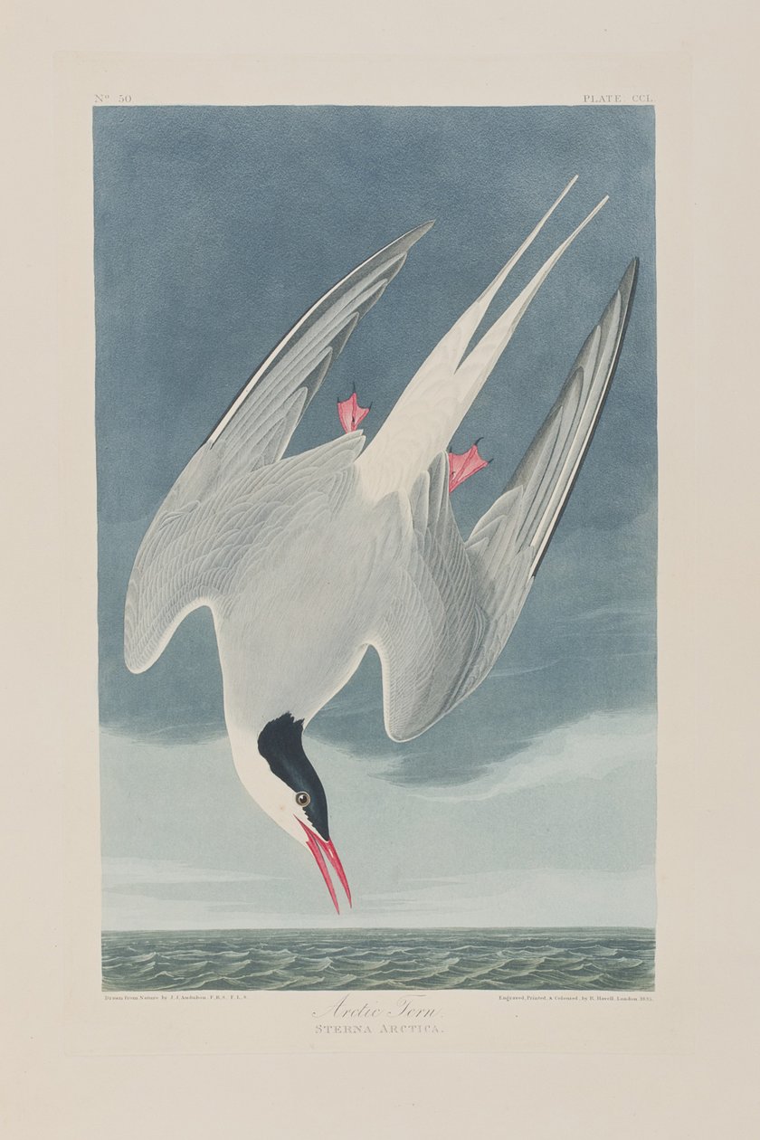 Illustration de 