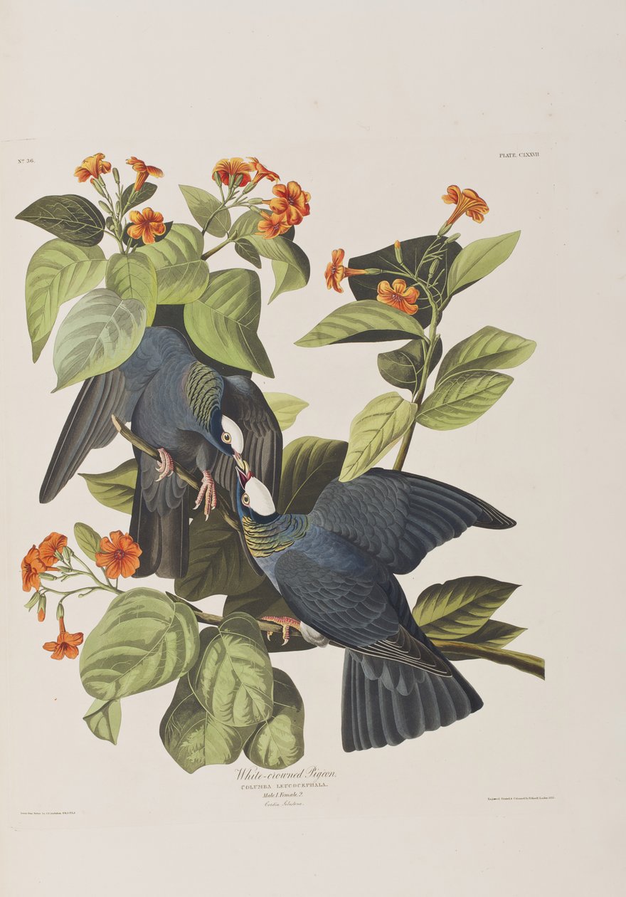 Illustration de 