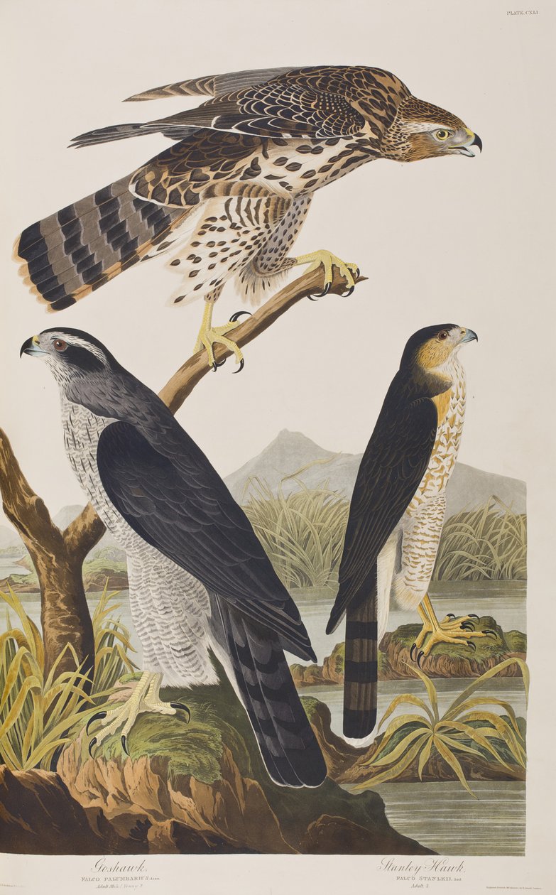 Illustration de 