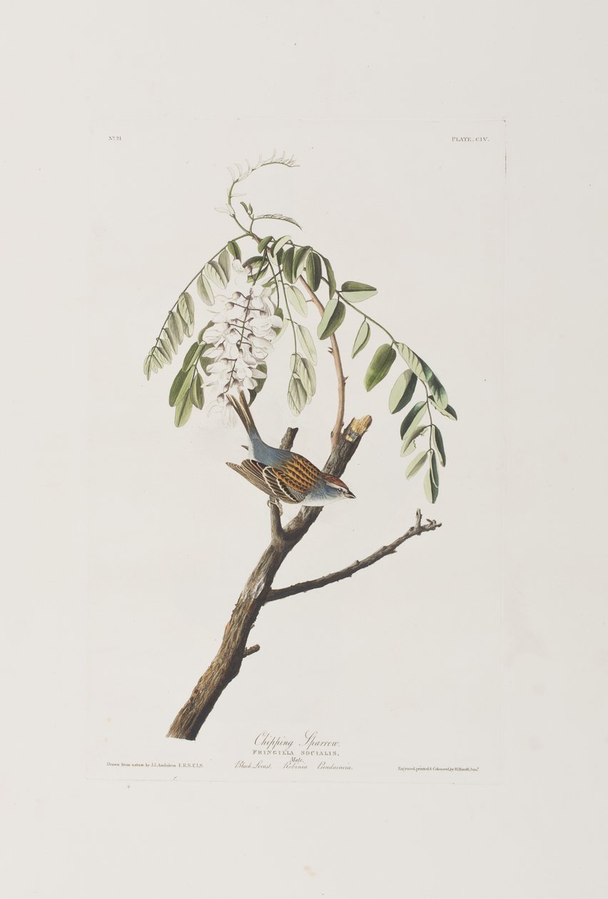 Illustration de 