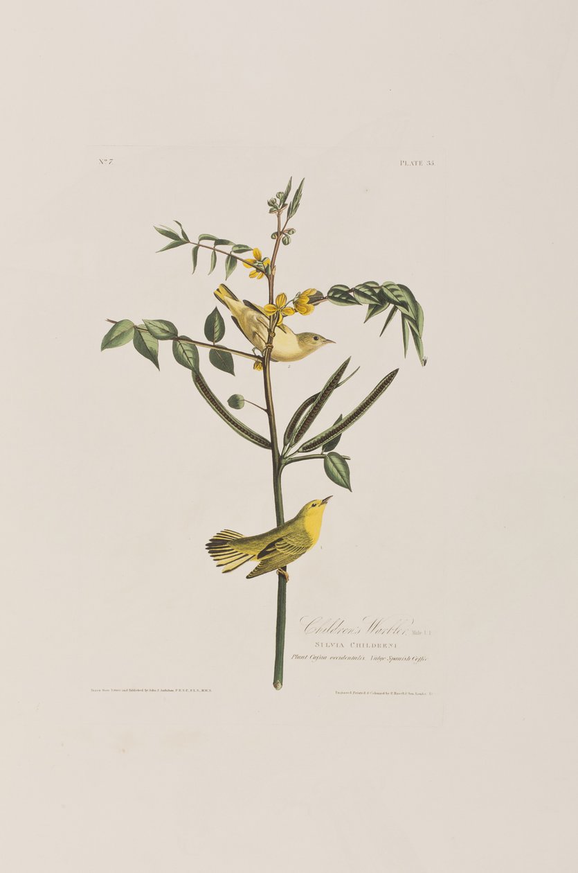 Illustration de 