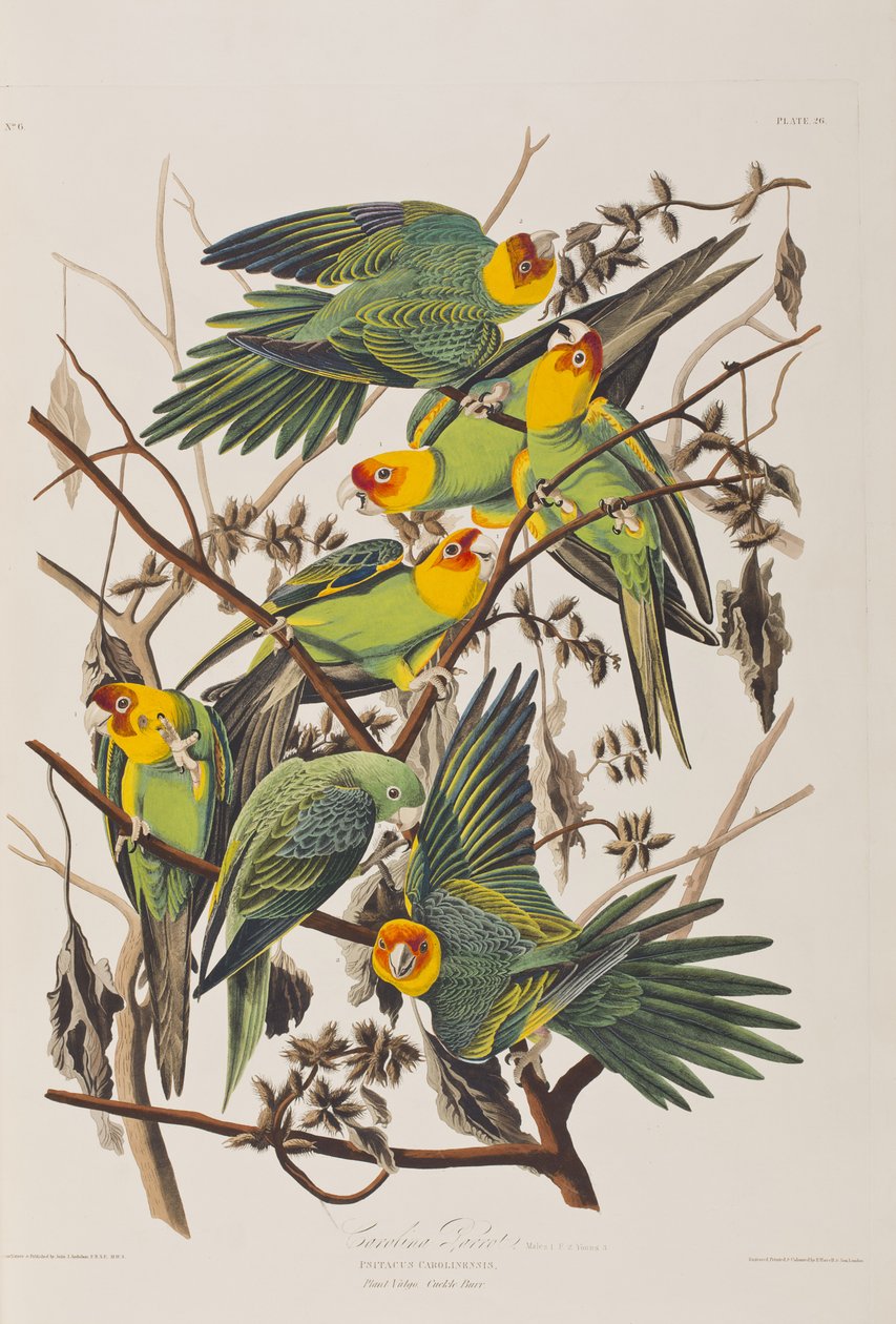 Illustration de 