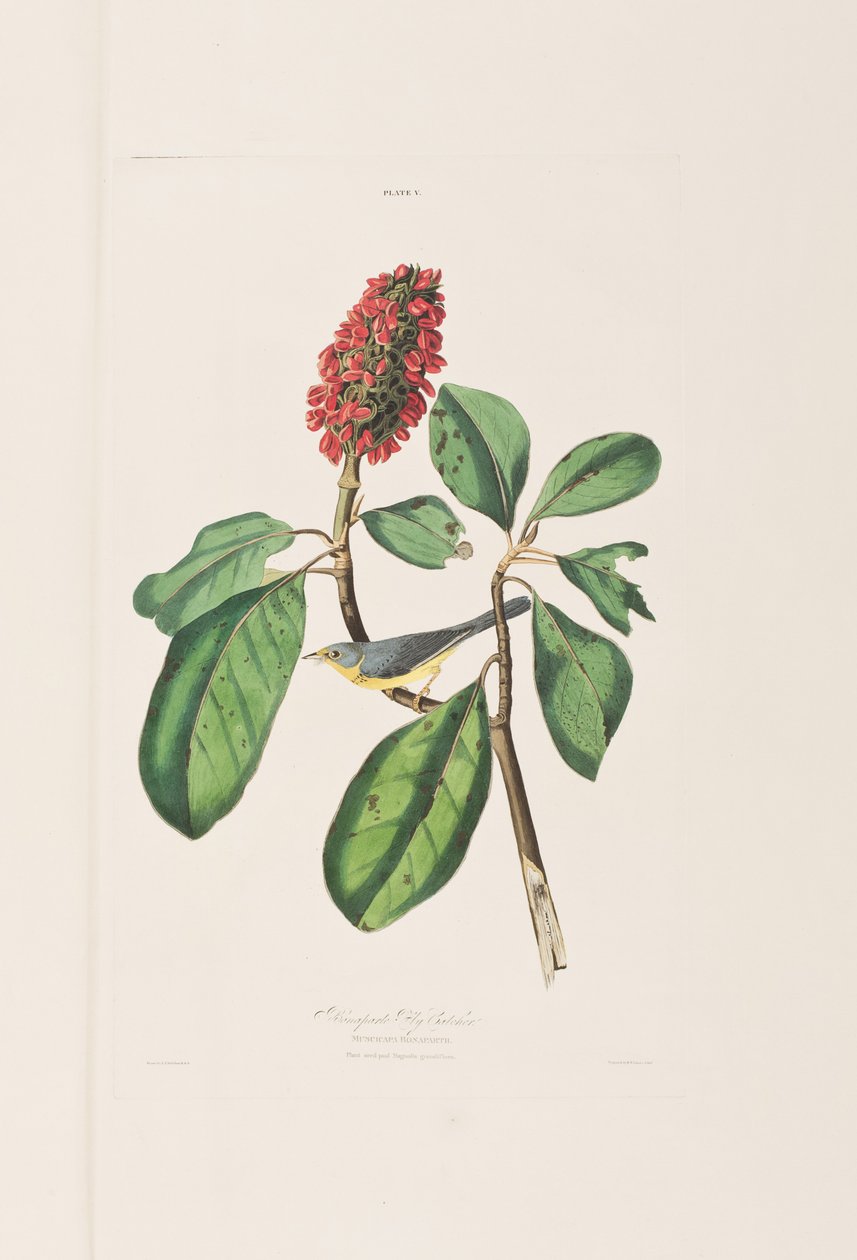 Illustration de 