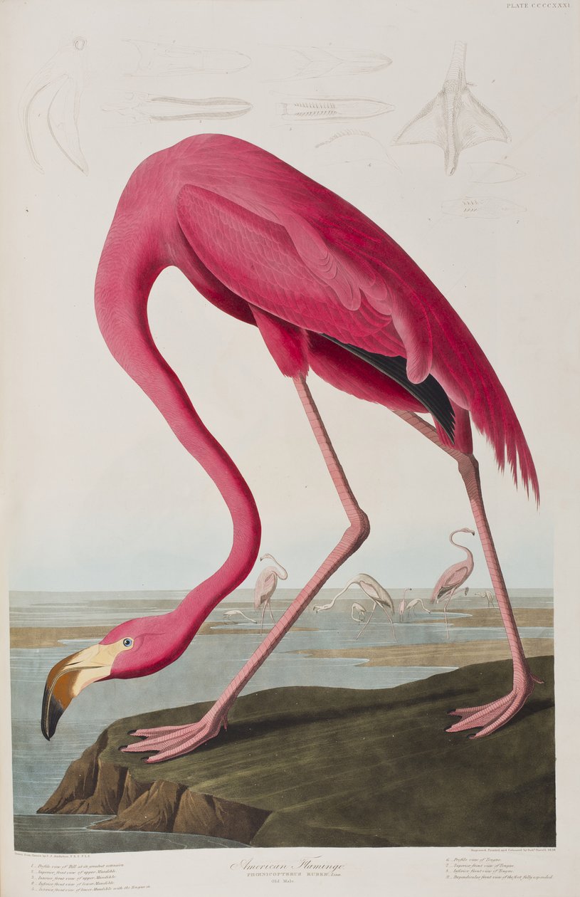 Illustration de 