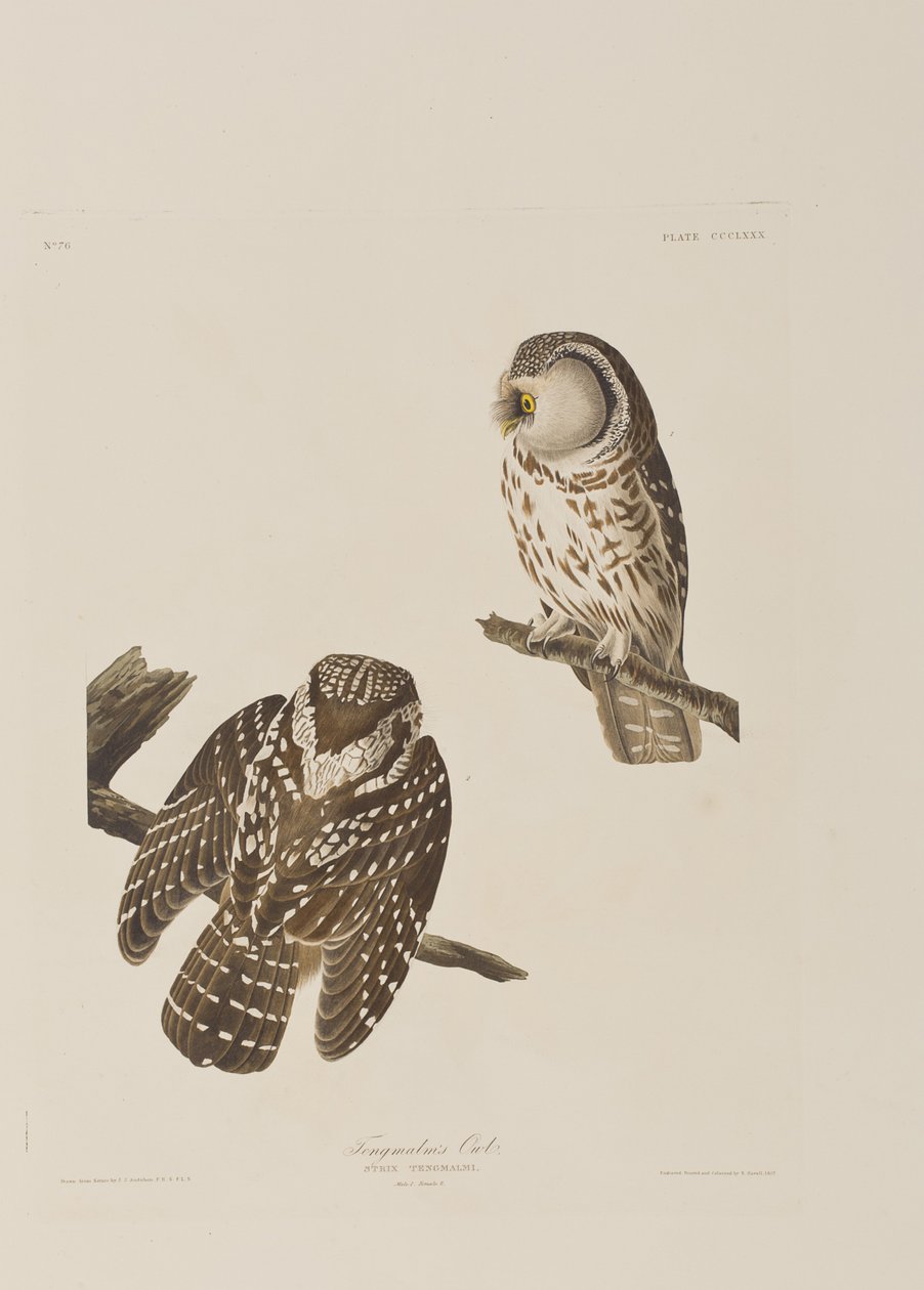 Illustration de 
