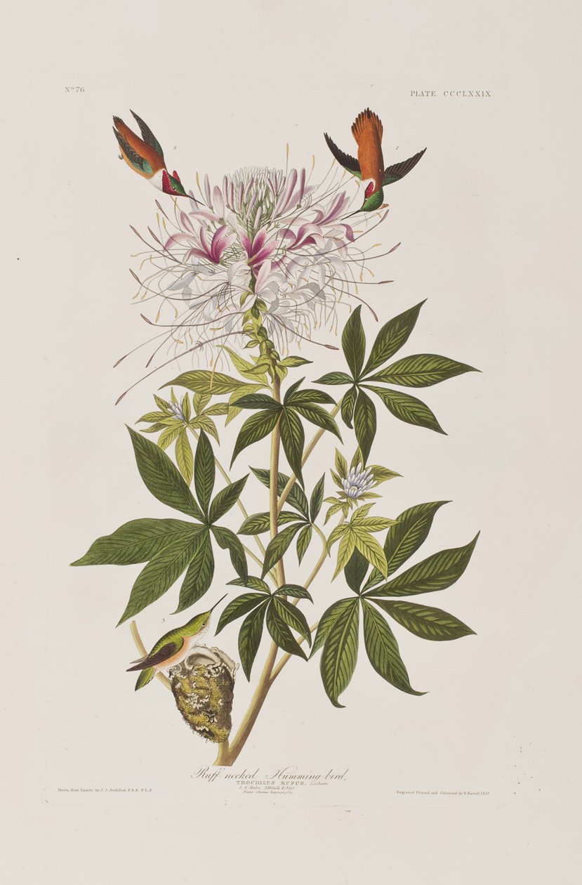Illustration de 