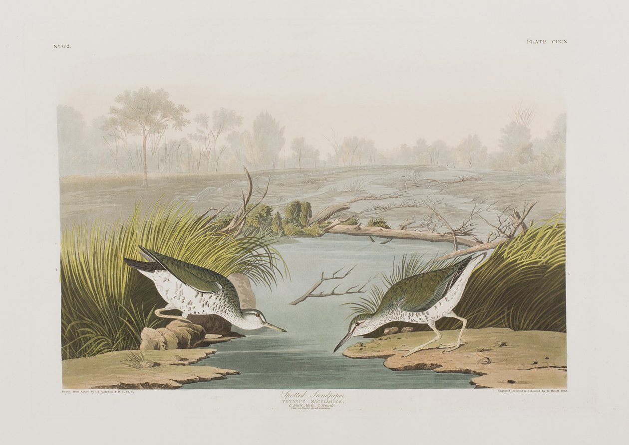 Illustration de 