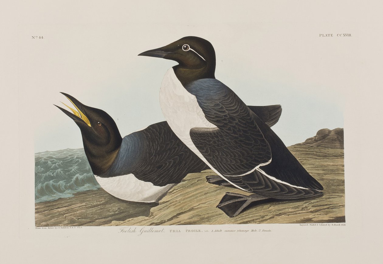 Illustration de 