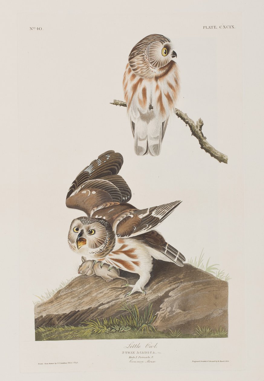 Illustration de 