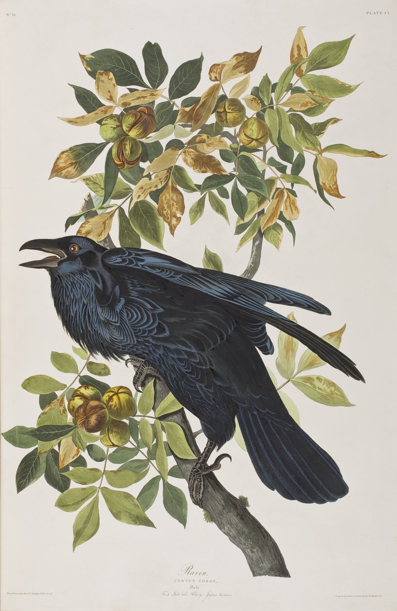 Illustration de 