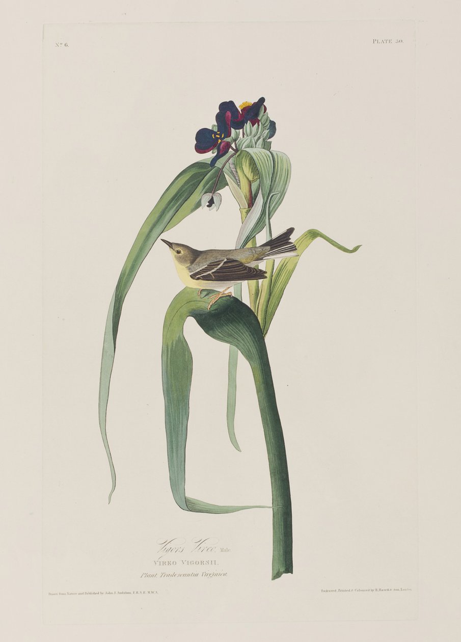Illustration de 