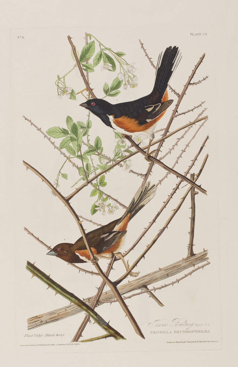 Illustration de 