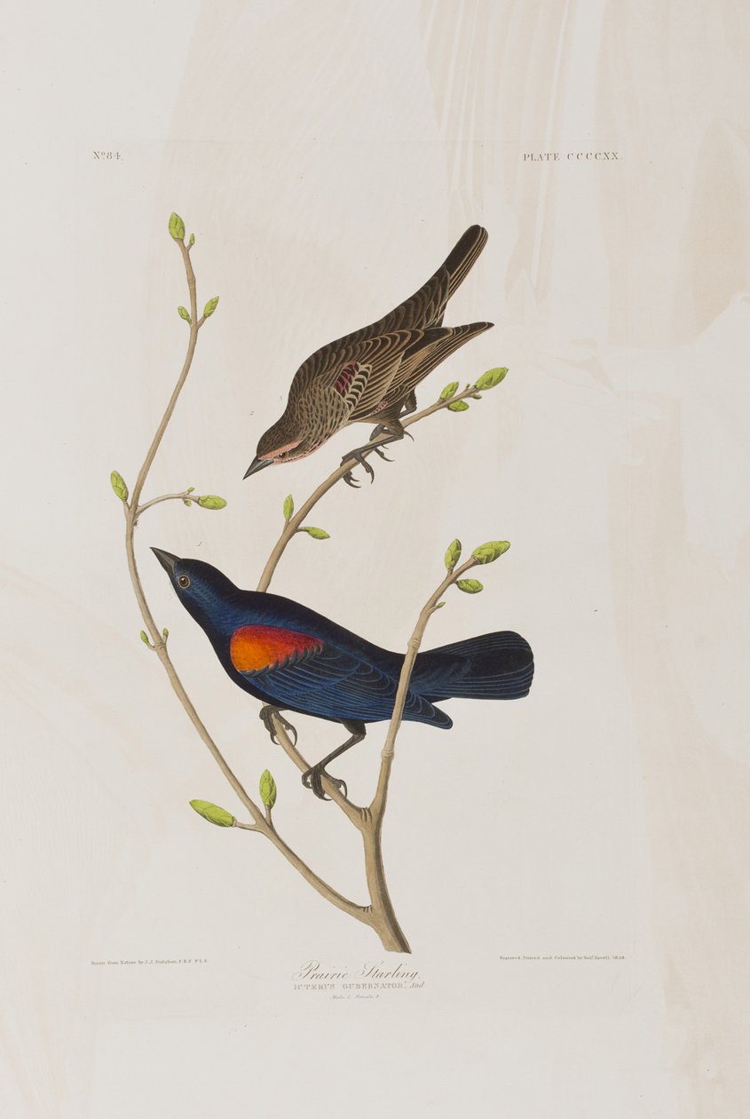 Illustration de 