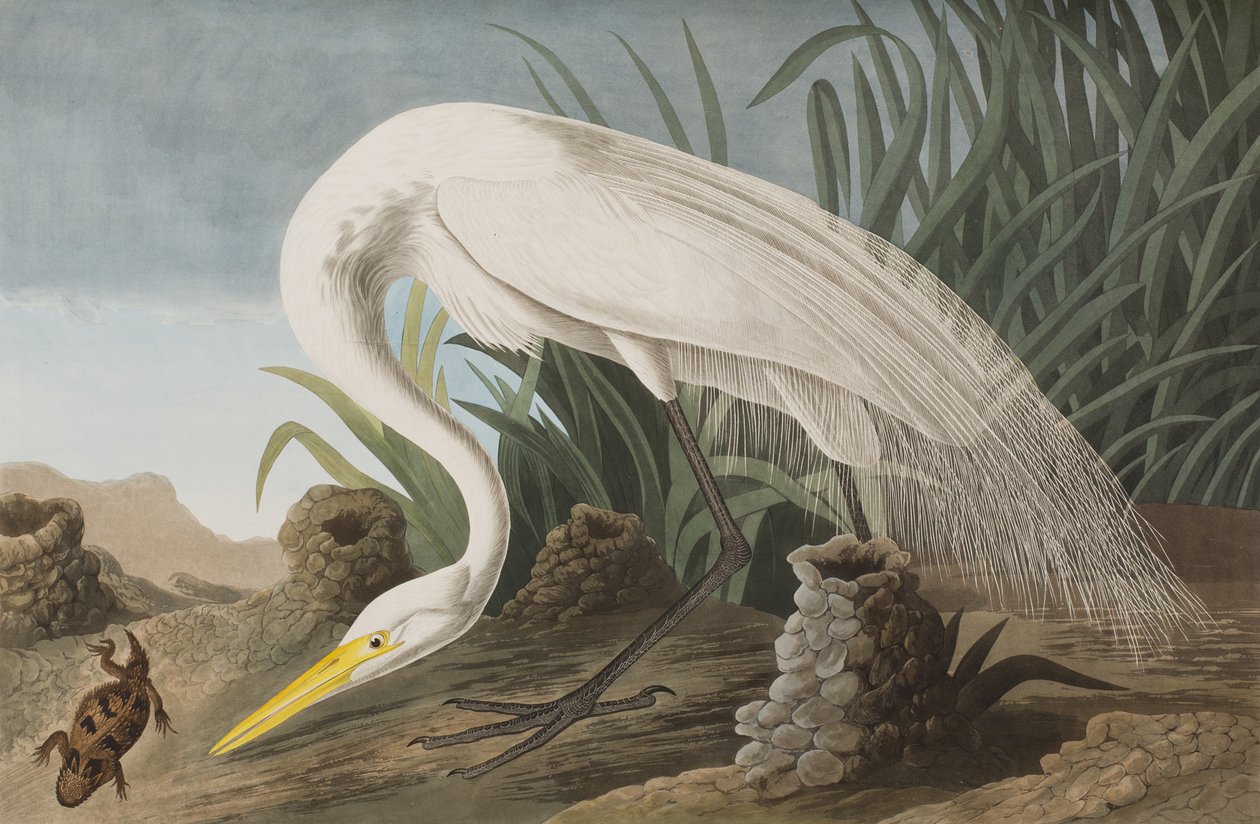 Illustration de 