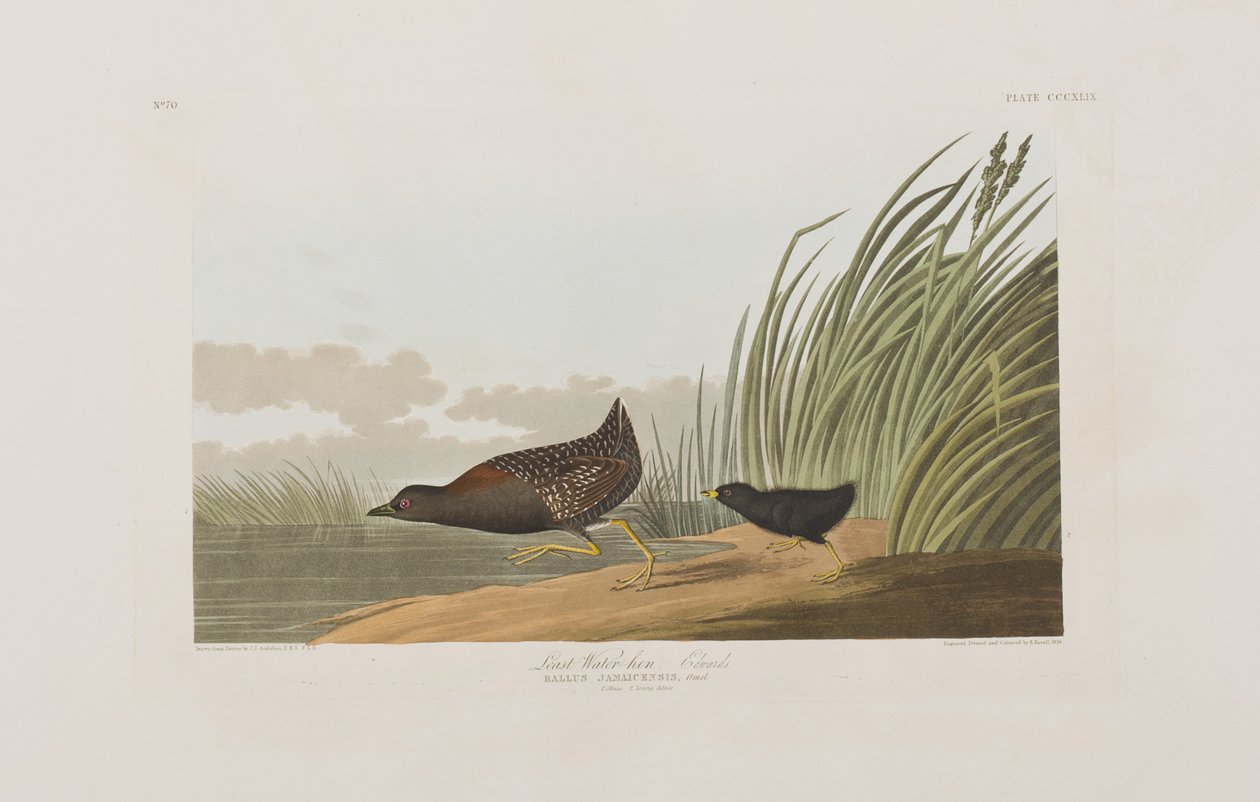 Illustration de 