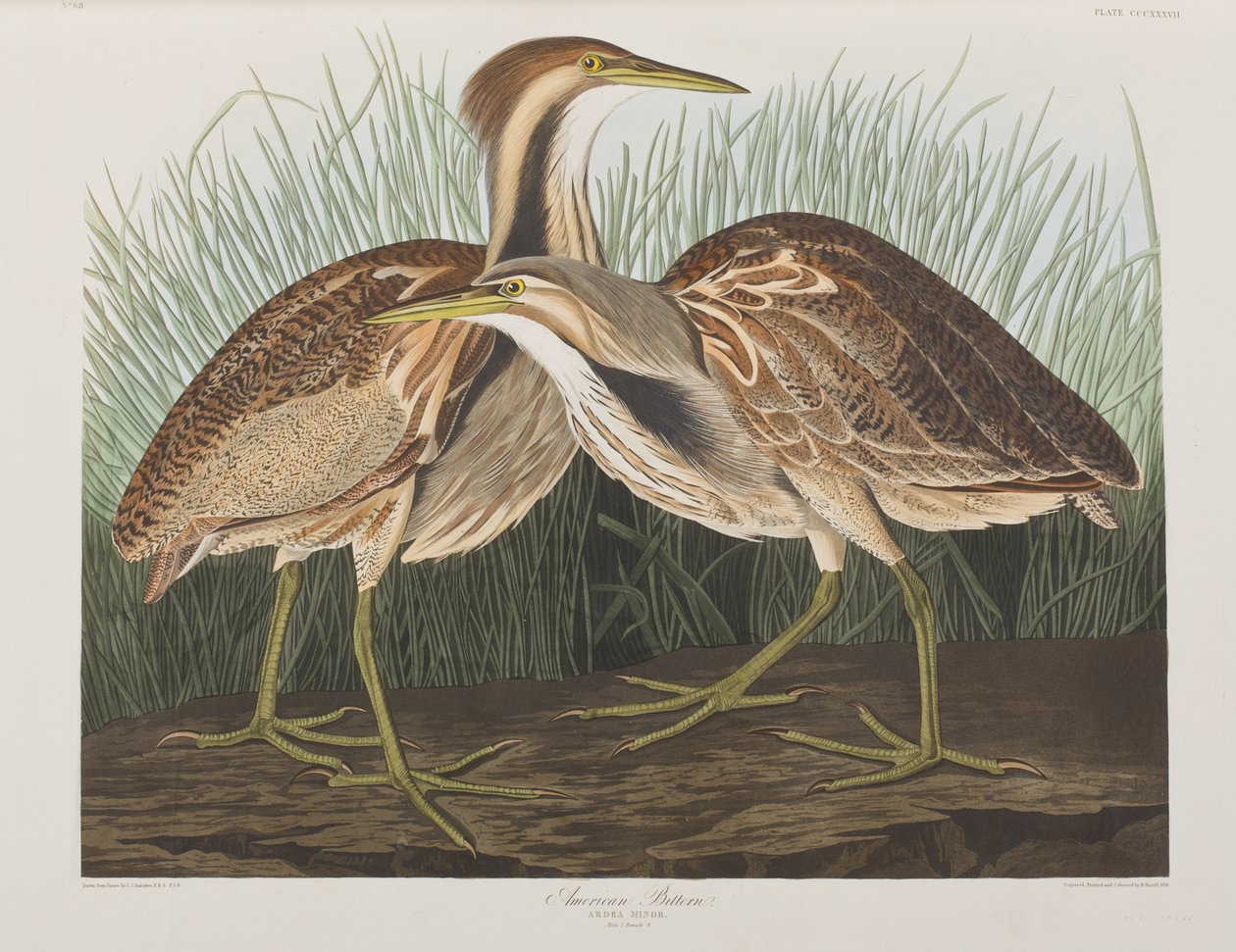 Illustration de 