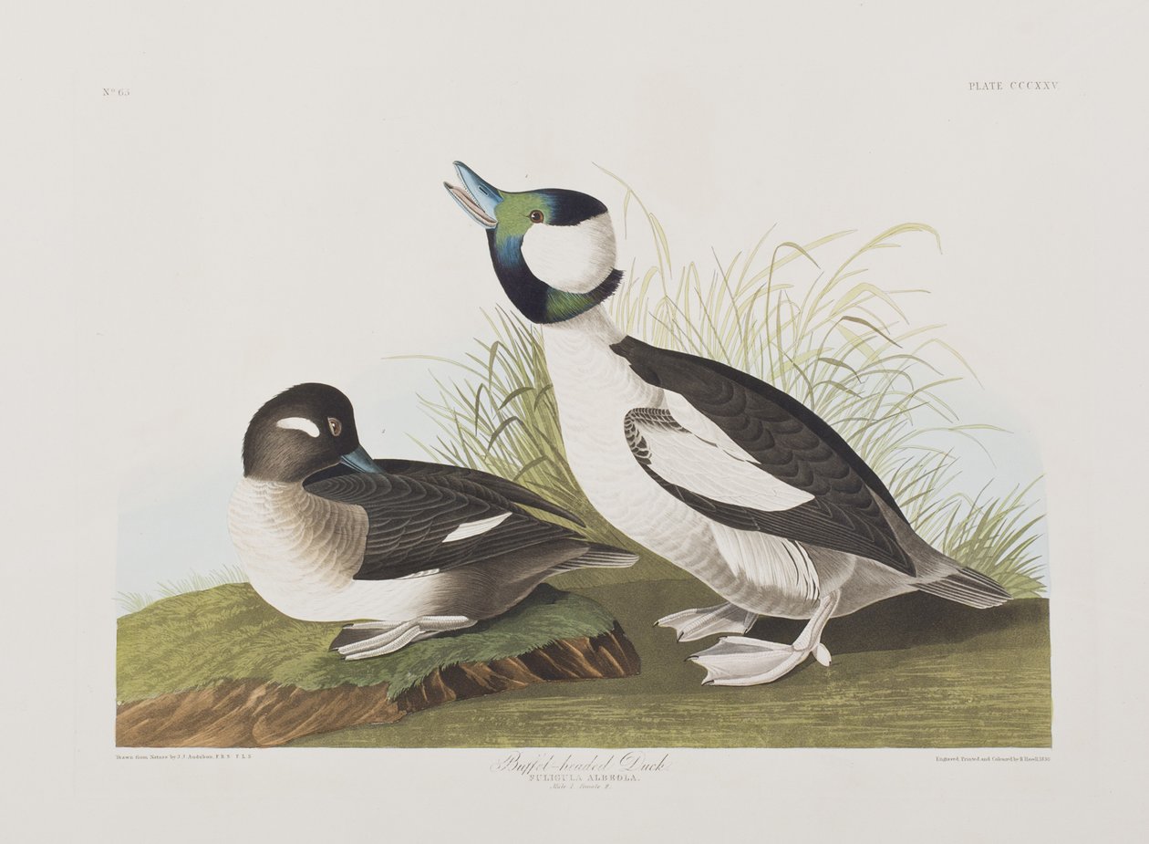 Illustration de 