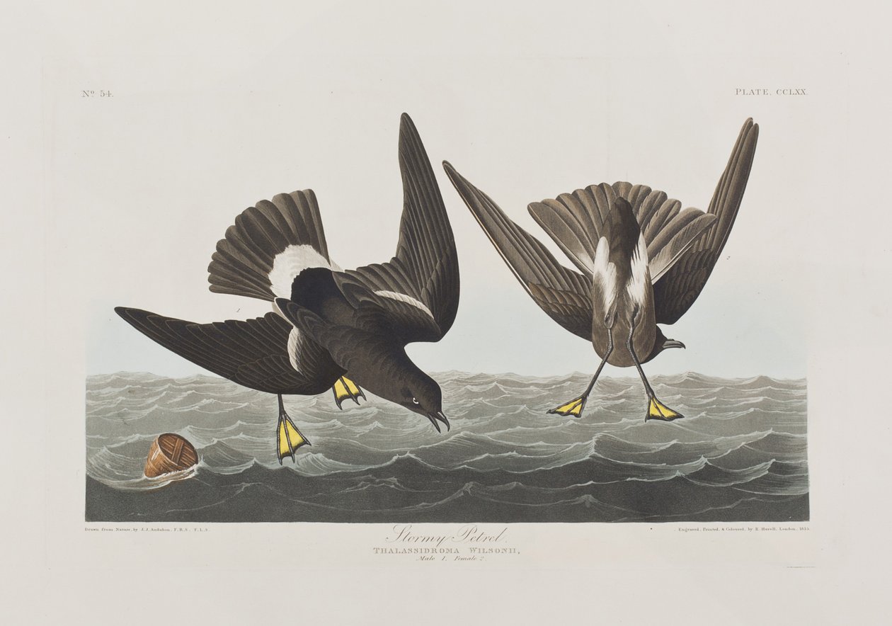 Illustration de 