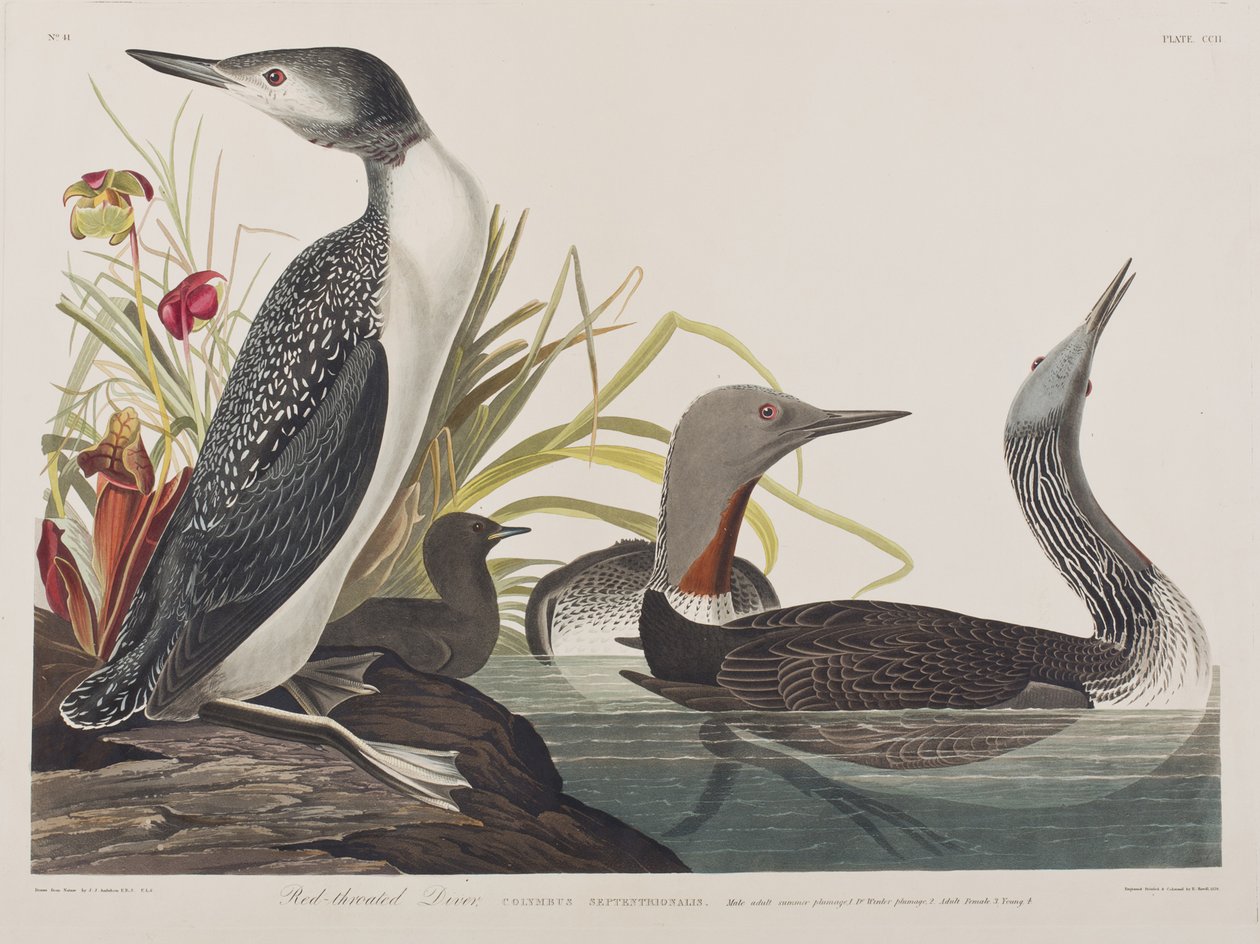 Illustration de 