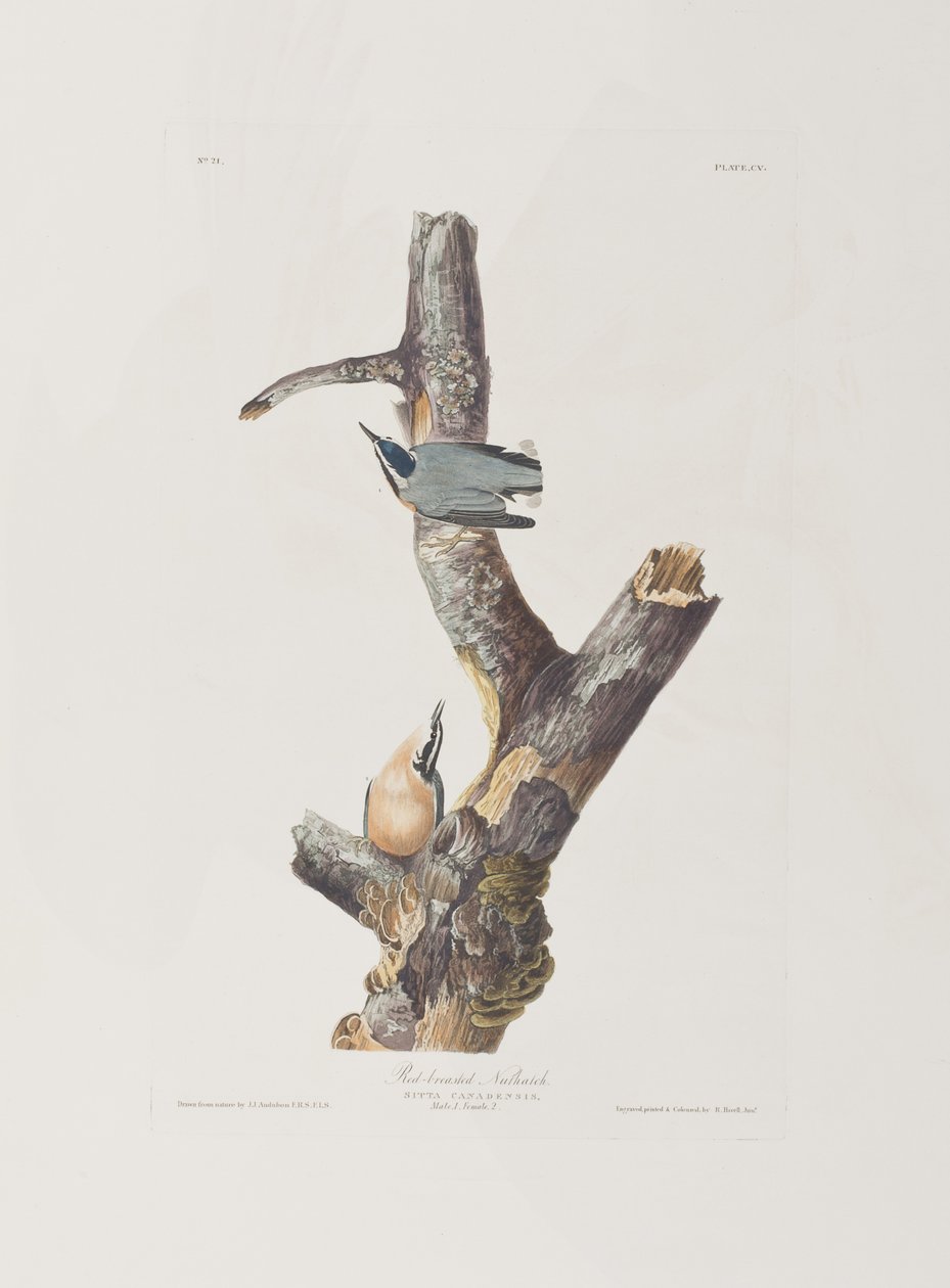 Illustration de 