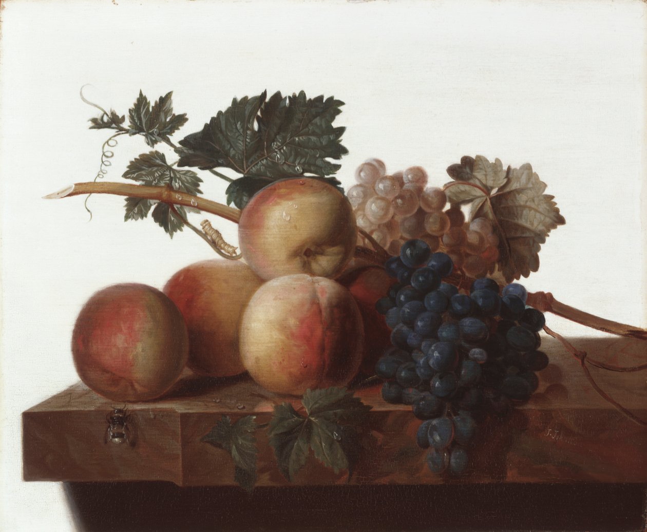 Nature morte - John Johnston