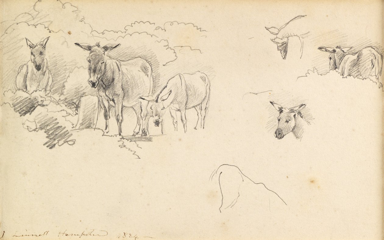 Ânes, 1824 - John Linnell