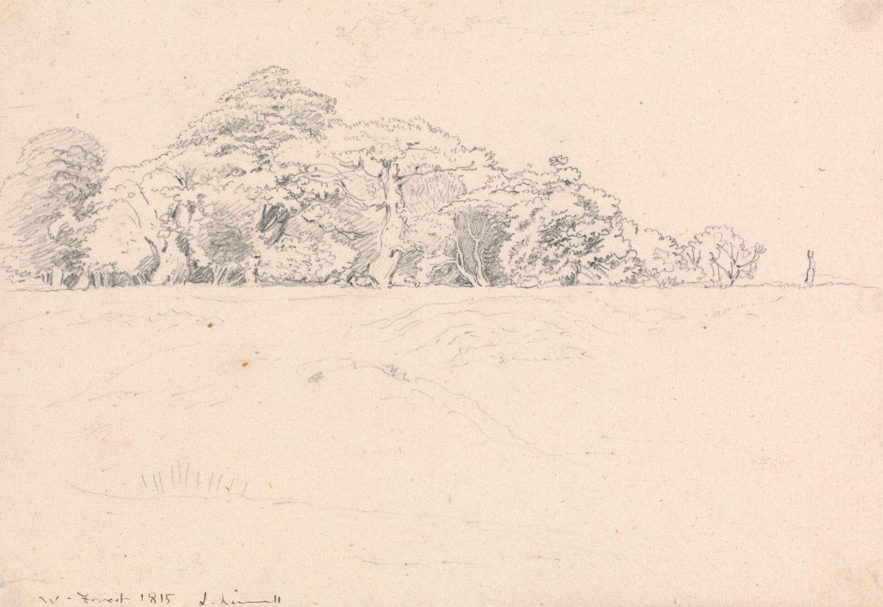 Forêt de Windsor - John Linnell