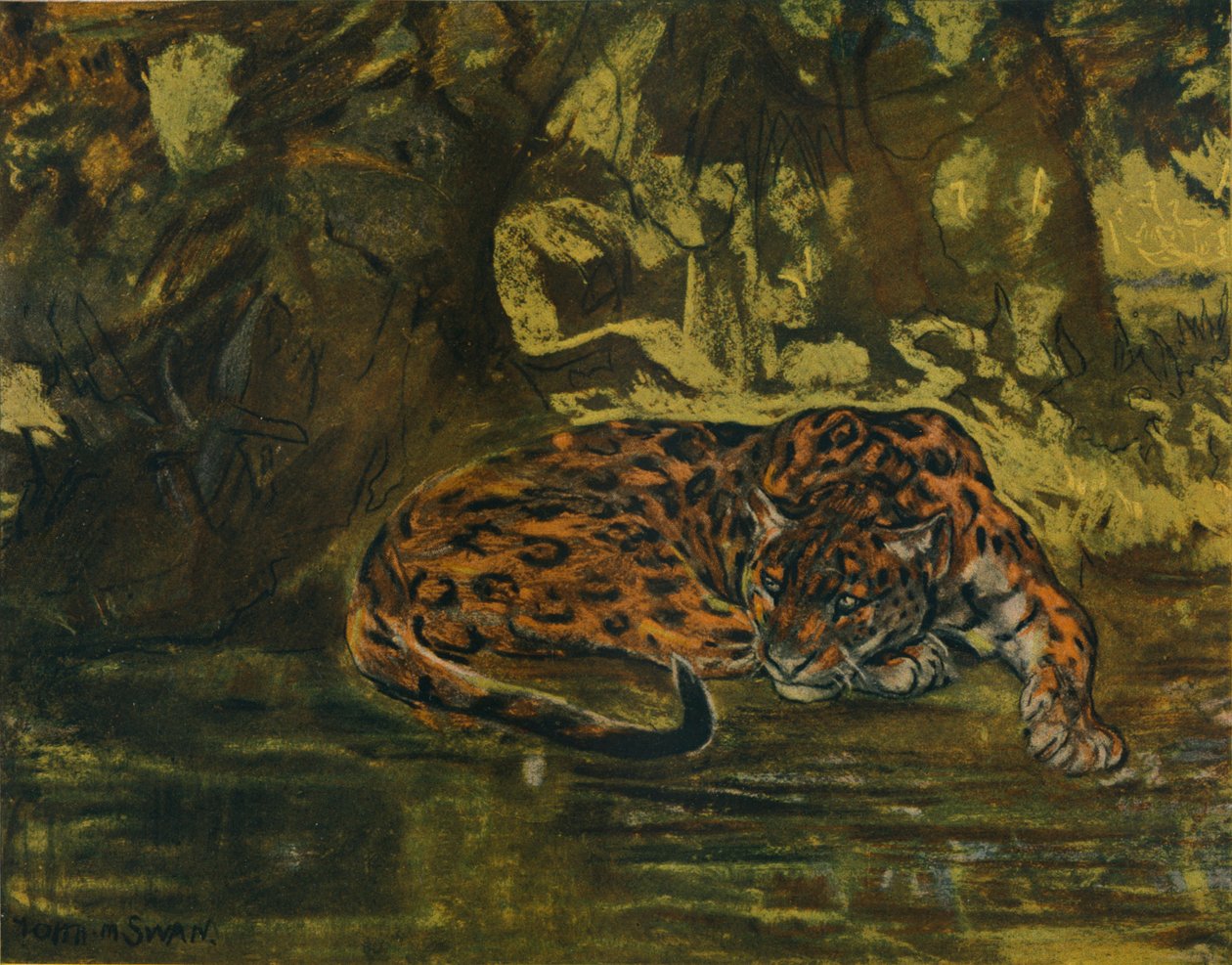 Un jaguar, c1900 - John Macallan Swan