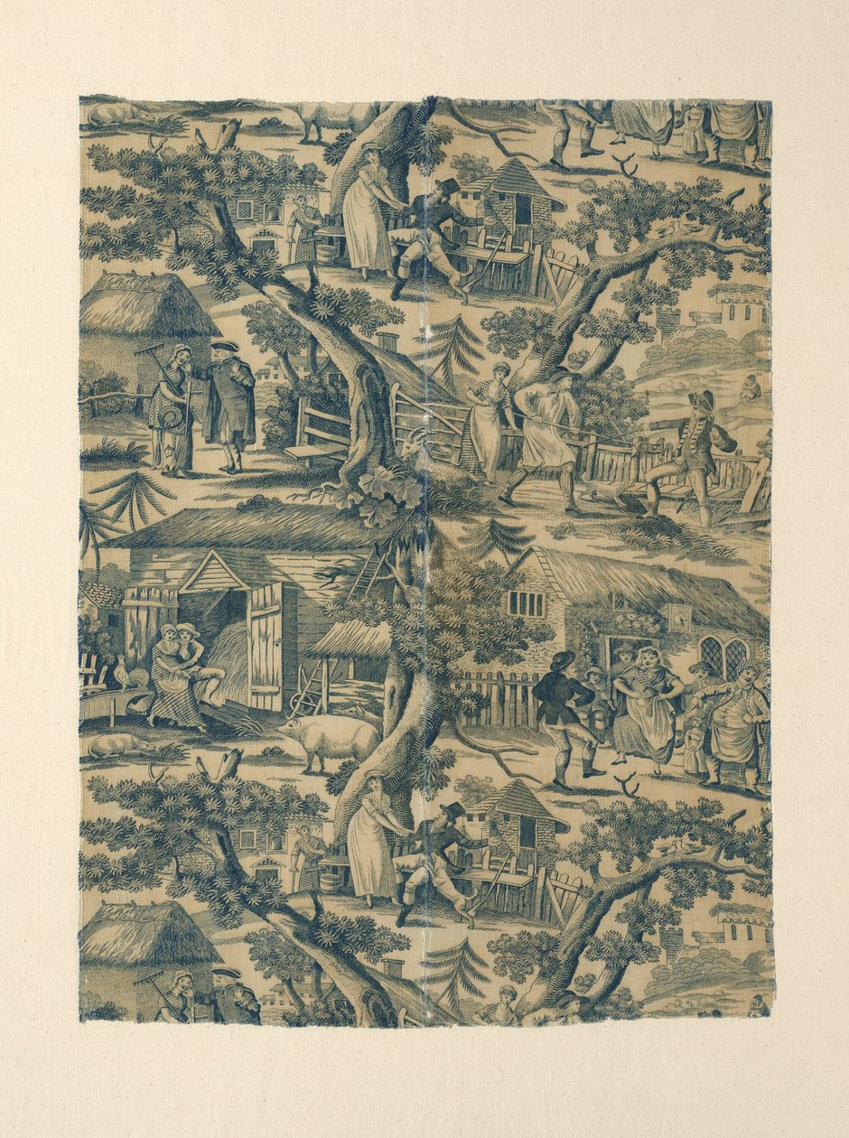 Fragment (tissu d