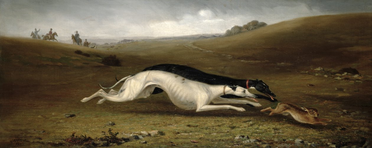 Chasse au lièvre dans un paysage, 1870 - John Marshall