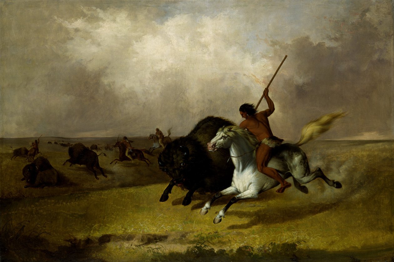 Chasse au bison dans les prairies du sud-ouest - John Mix Stanley