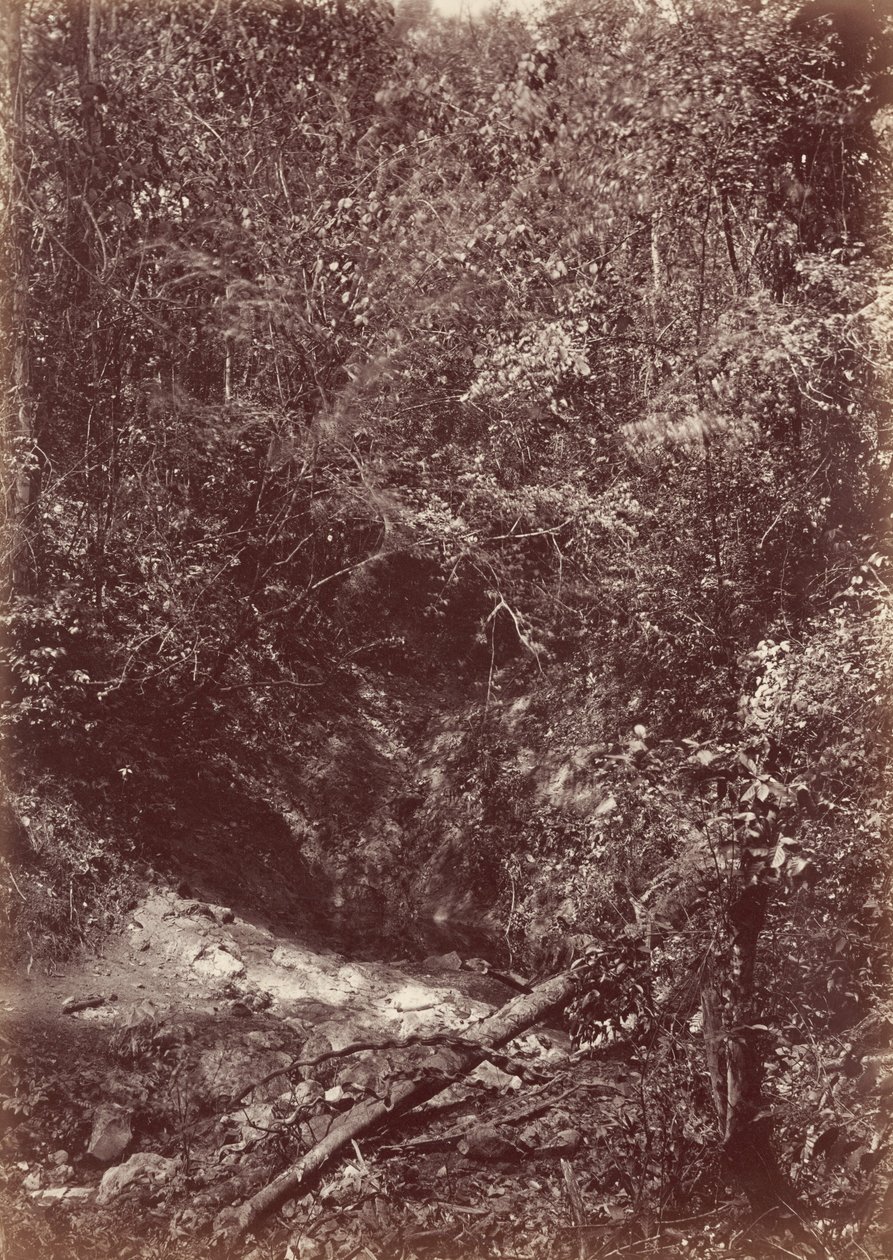 Darien Expedition,1871 (photo) - John Moran