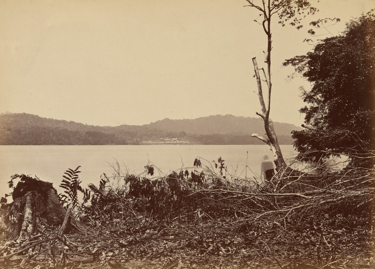 Darien Harbor, Chipigana,1871 (photo) - John Moran