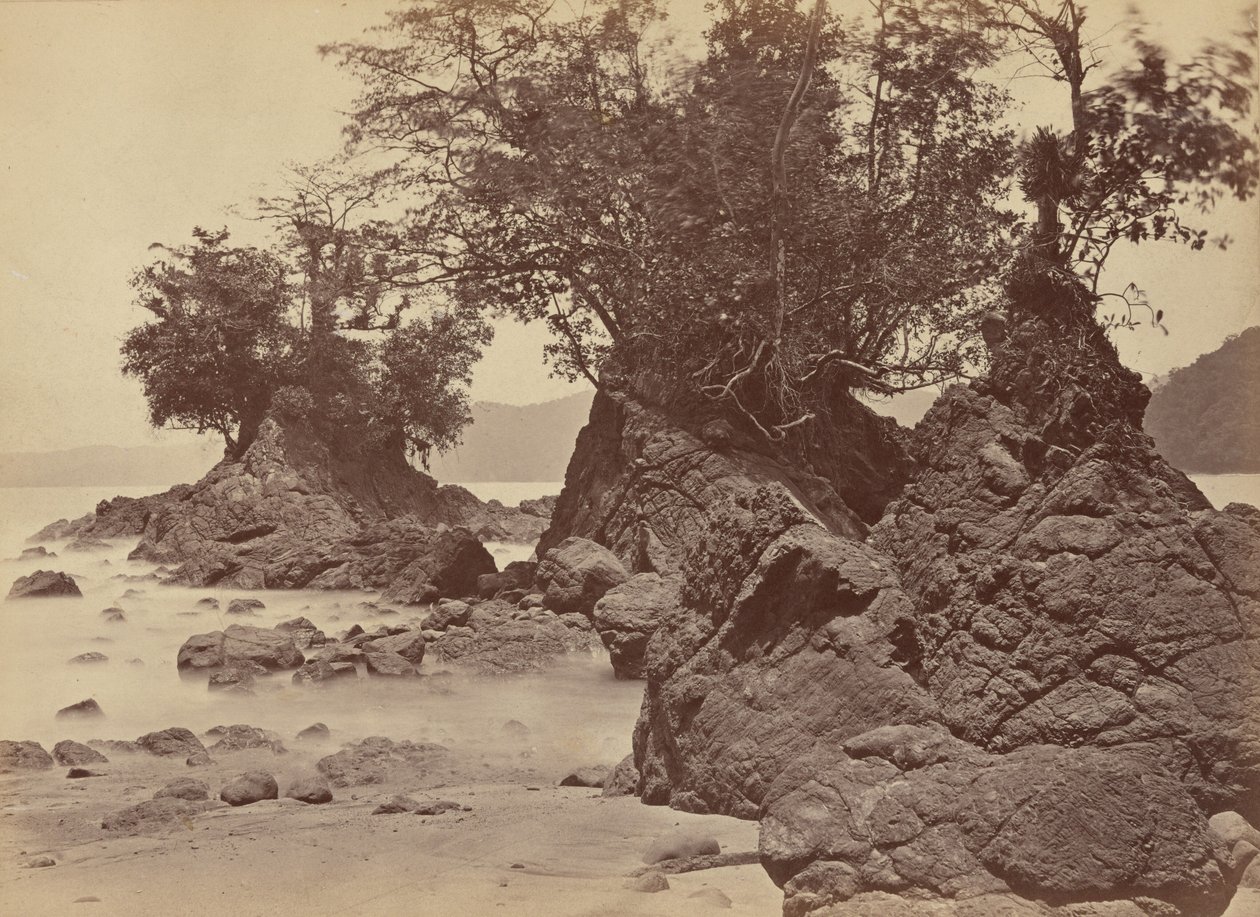 Îles, baie de Limon, 1871 (photo) - John Moran