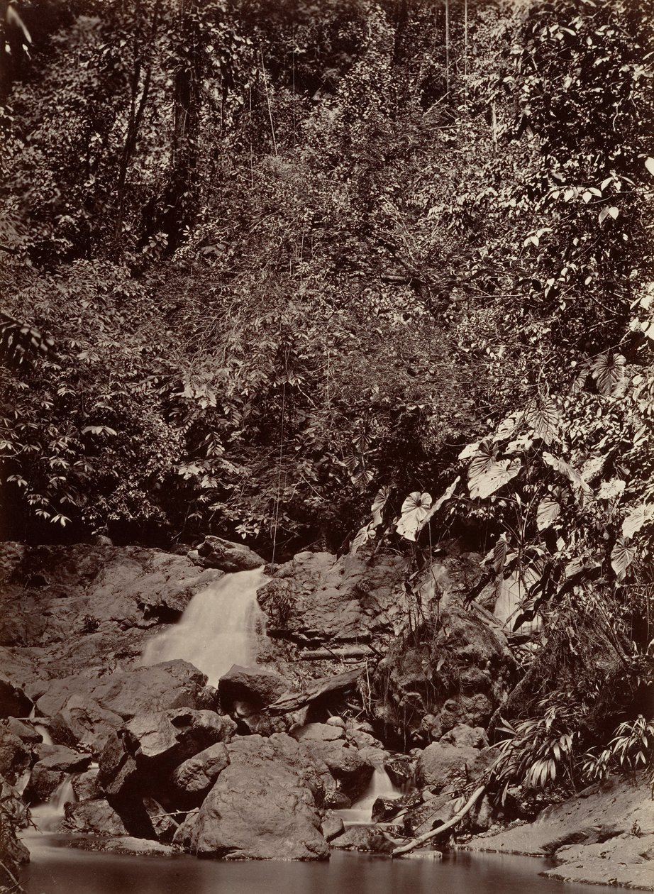 Paysage tropical, Cascade, Rivière Limon, 1871 - John Moran