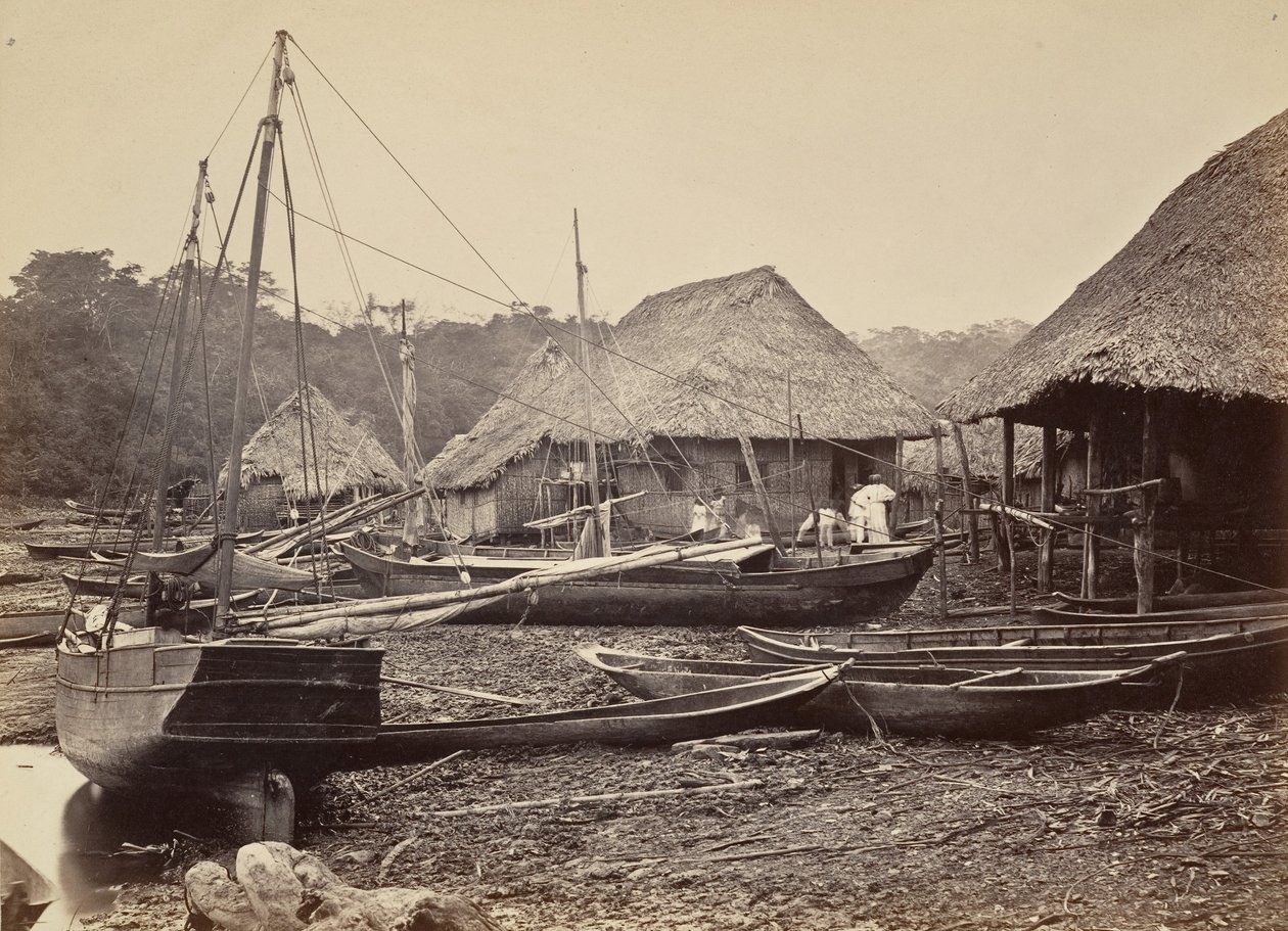 Paysage tropical, débarquement, Chipigana, 1871 - John Moran