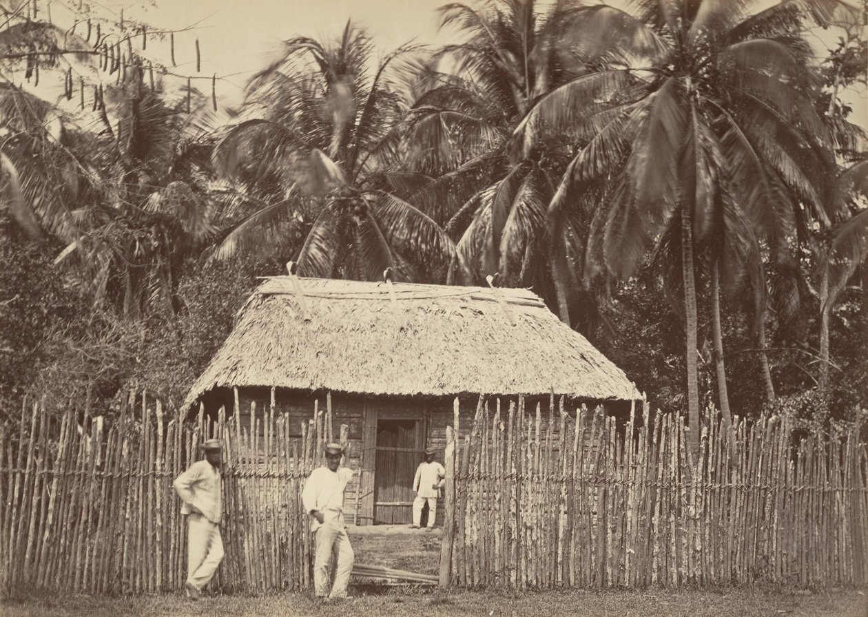 Paysage tropical, hutte indigène, Turbo - John Moran