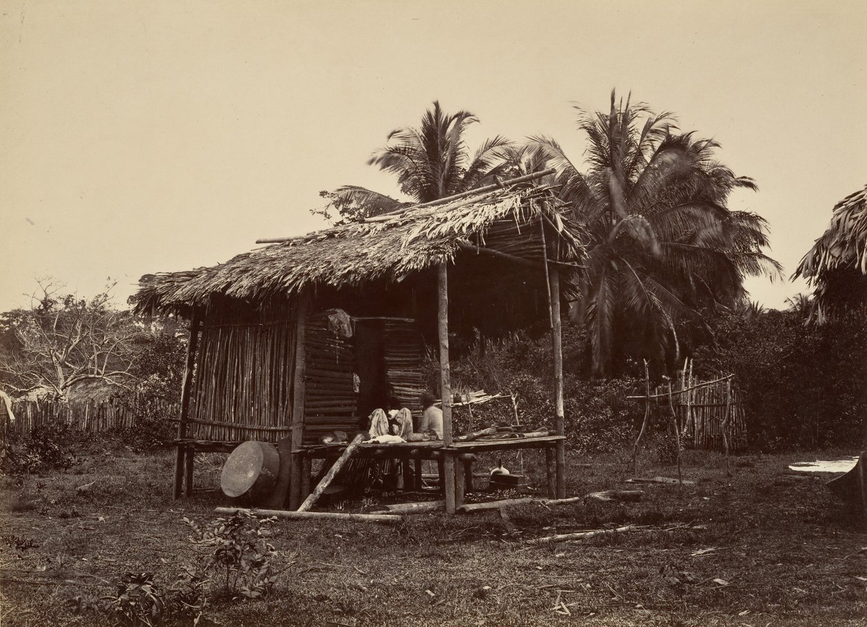 Paysage tropical, hutte indigène, Turbo, 1871 - John Moran